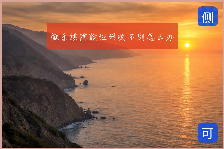 微乐棋牌验证码收不到怎么办